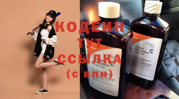 индика Гусев