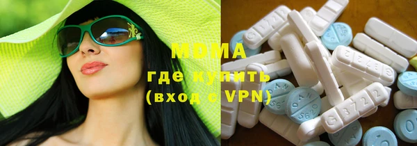индика Гусев
