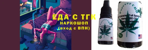 индика Гусев