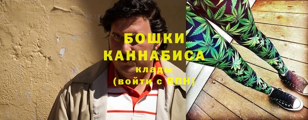 индика Гусев