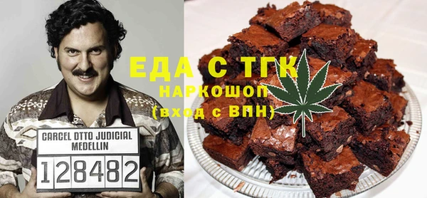 индика Гусев
