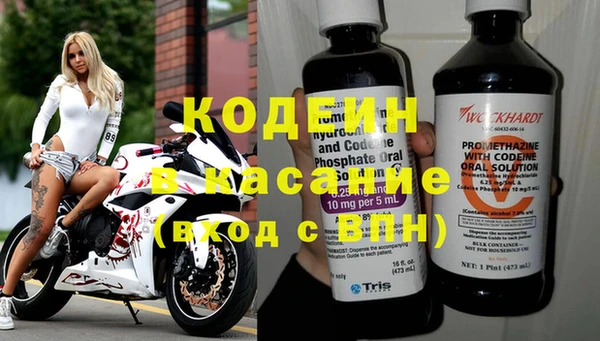 индика Гусев