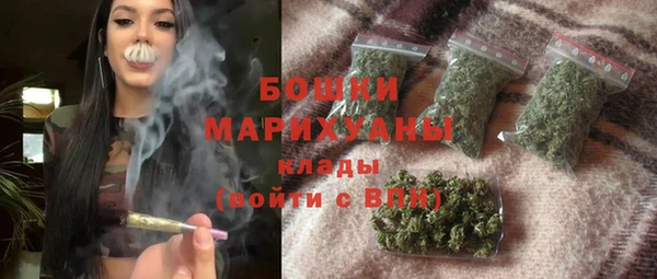 индика Гусев
