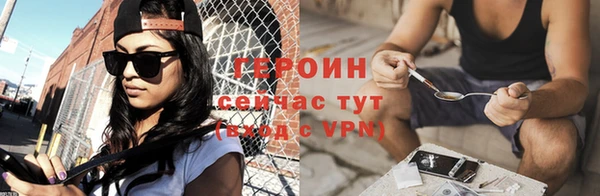 индика Гусев